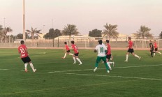 爱游戏网页版登录入口-勒布丰锁定降级，球队重返乙级联赛