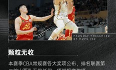 爱游戏网页版入口-CBA球员荣获重要奖项，展现实力斩获殊荣的简单介绍