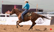 爱游戏官网入口-包含太阳击败小牛，布克奥顿联袂砍下30+得分的词条