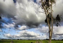 男子田径比赛开幕，各国选手展示实力