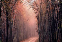 爱游戏体育官网-法兰克福与纽伦堡打平，激战无决胜负，法兰克福和纽伦堡