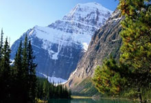 爱游戏网页版登录入口-科隆球队主场失利，遭遇连败困境难挽回，科隆换帅