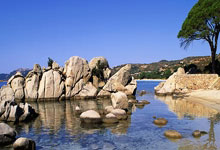 爱游戏官方入口-利物浦中后卫助力球队稳固防线，表现出色助攻逆袭，利物浦中后卫组合