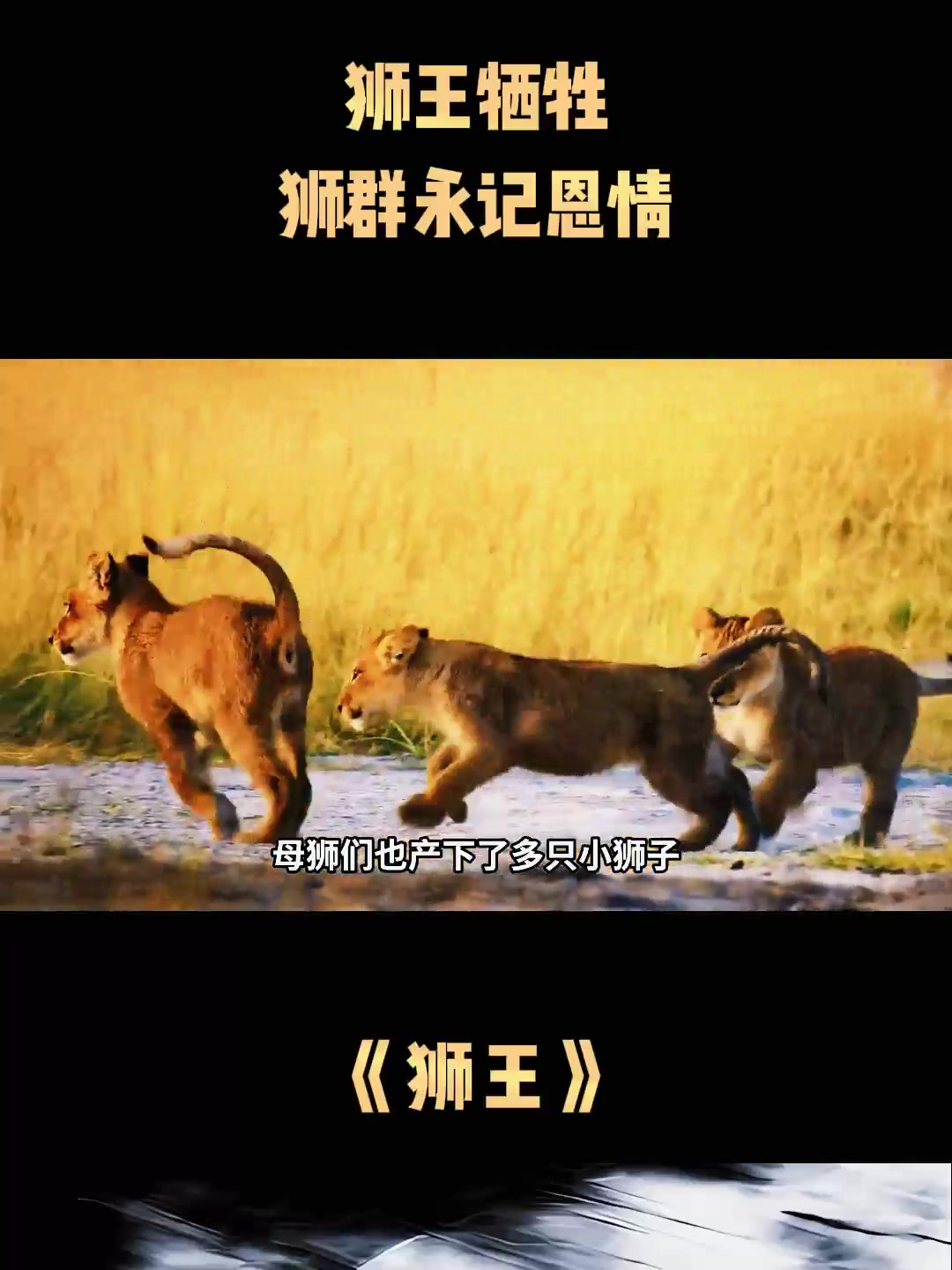 爱游戏在线-雄狮咆哮！汉堡力克对手，取得难以置信的胜利的简单介绍