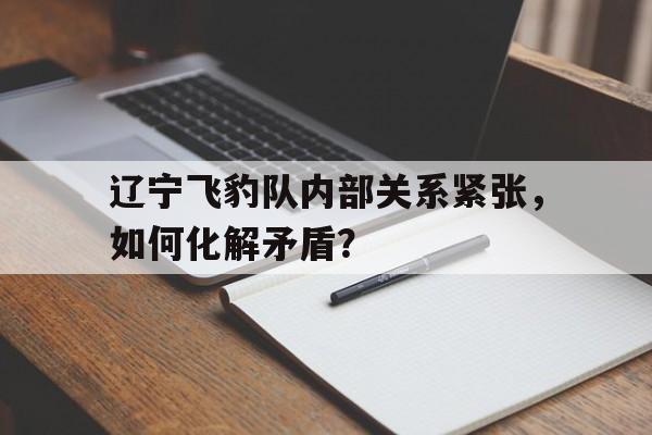 爱游戏亚洲官网-辽宁飞豹队内部关系紧张，如何化解矛盾？的简单介绍